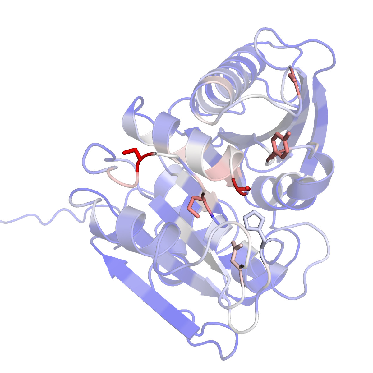 3D structure of a PET hydrolase with high cross-attention residues highlighted in red.